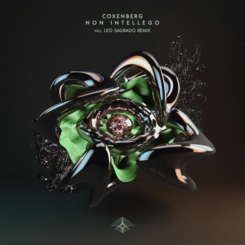 Coxenberg - Non Intellego (Leo Sagrado Remix)