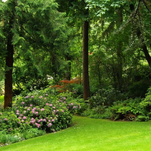 Thr33 + luracks - fight (tdf) [snippet]