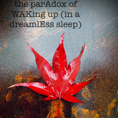 The Paradox of Waking Up (in a dreamless sleep).