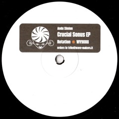 WV9008 / Andu Simion - Crucial Sonus EP
