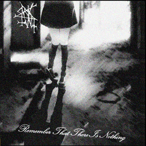 Brain Dismorphia