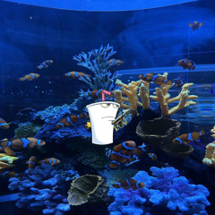 Aquarium🐠 (prod.advnxm🥤) [@shawtythatsbabyduck🦆]EXCLUSIVE*BTW.m4a