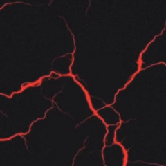 NAOMI SHARON - ANOTHER LIFE (HOUSE REMIX)