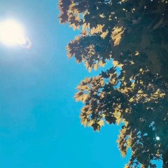 A walk in the afternoon