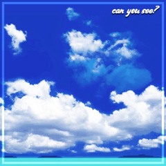 Can You See?