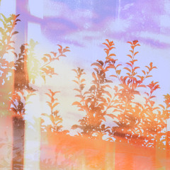 colorful.dream