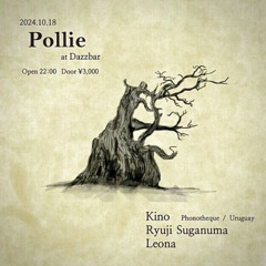 Live rec on Pollie at dazzbar,18.Oct.'24