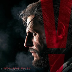 Quiet's Last Message [VS Cover]