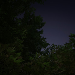 livin’ zombie (prod. essence x veil x luvbug)