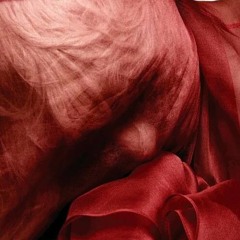 caught in a bad romance.mp3