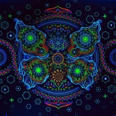 Cosmosis & Shakta - Visitors