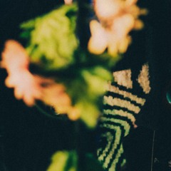 te quiero pero no tanto como tú quisieras