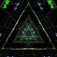 Jungle Grooves Set 11/4/2021