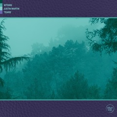 Justin Martin - Tears