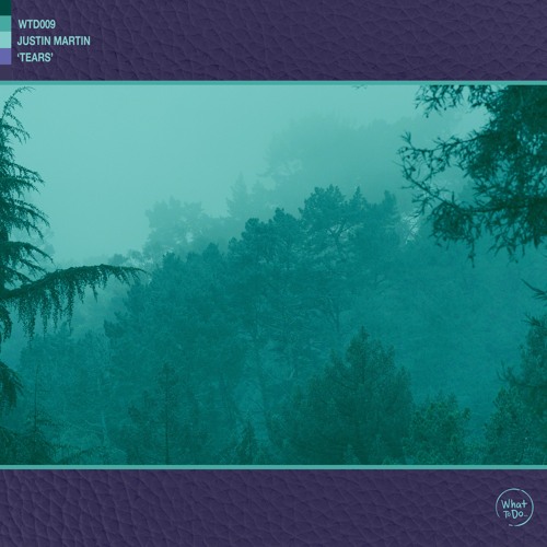 Justin Martin - Tears