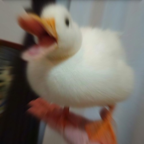 DEMO SHOWCASE #1 2023-2025 (FREE DL)