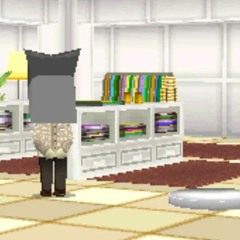 Clothing Shop (Remix) - Tomodachi Collection