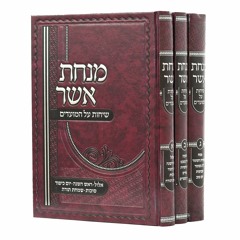 What Exactly Happened (Happens) on Succos - Rav Shlomo Katz