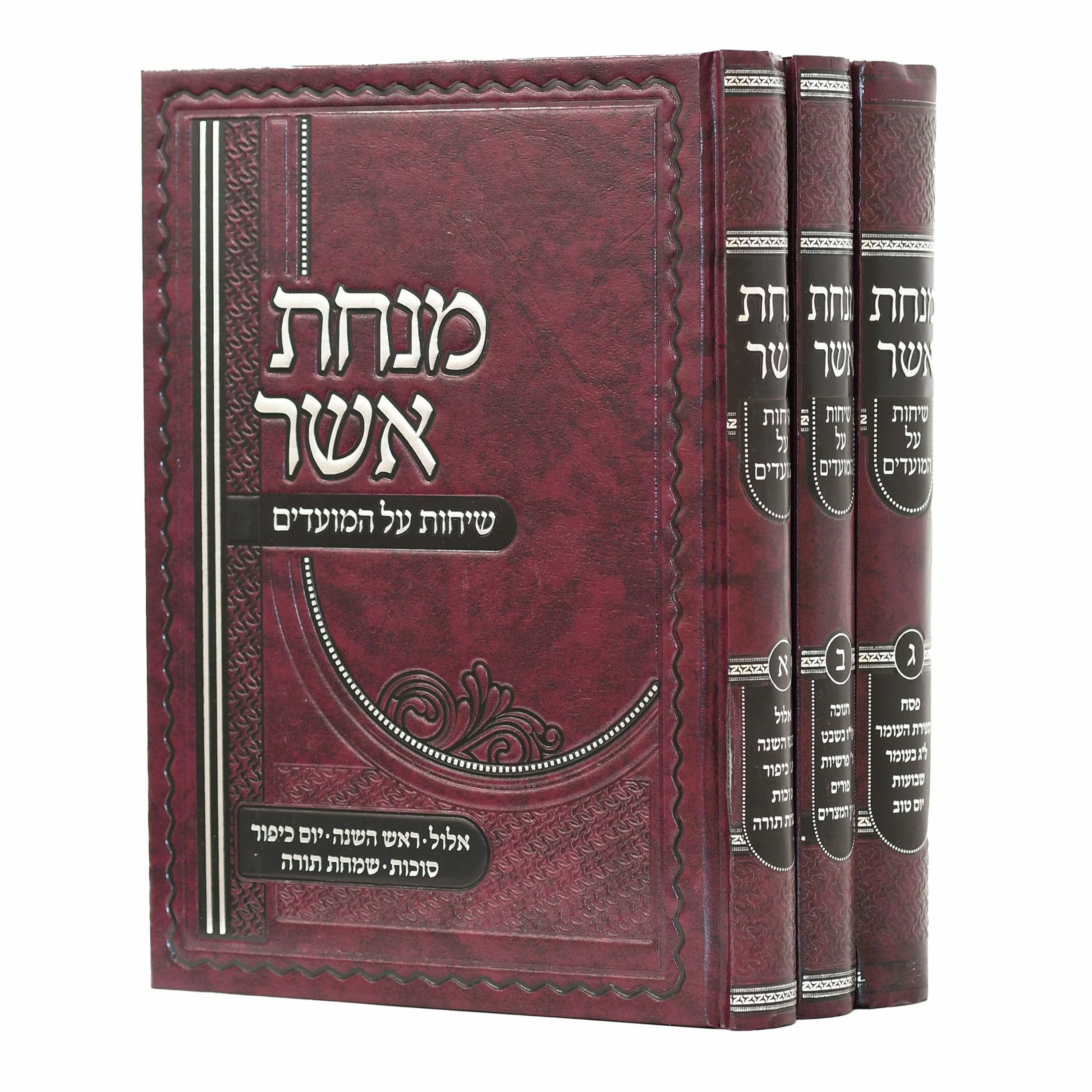 Rav Shlomo Katz