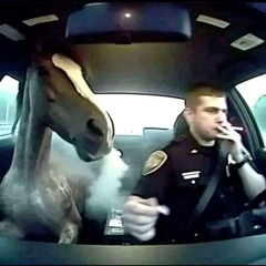 хорни хорс хх- опг мз