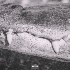 Gators