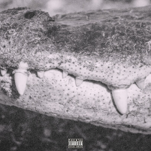 Gators