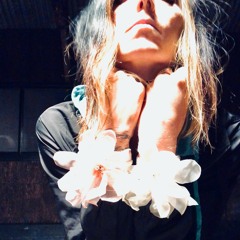 Molt - 04 Your Transparent Facade