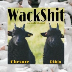 Wack Sh*t - Robin0hood ft. Chesure (prod. T4XTIME)