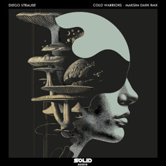 Diego Straube - Cold Warriors (Maksim Dark Remix)