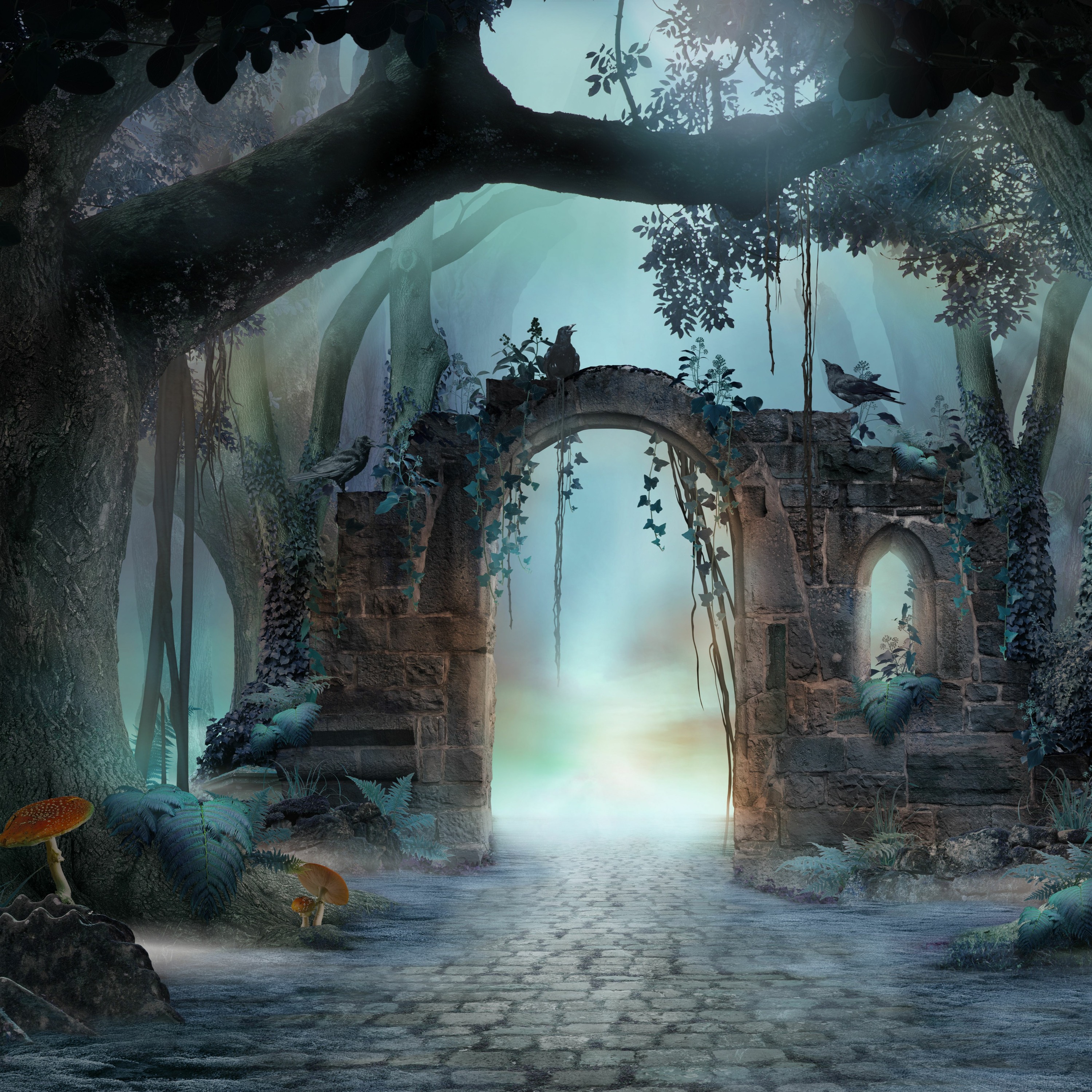 Magical Forest episode artwork