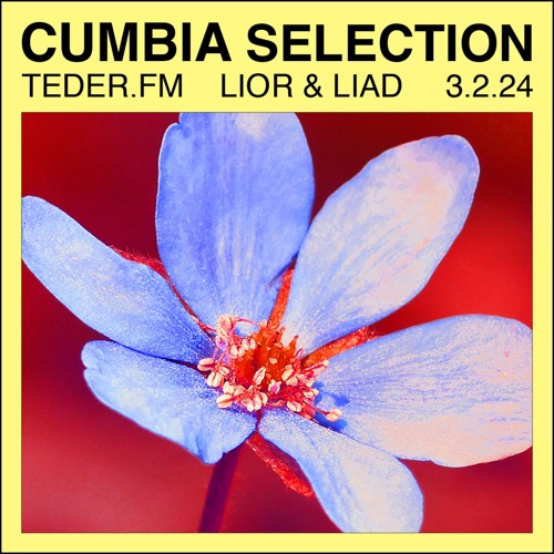 LIOR BERNSTEIN B2B LIAD SHTANSKI TEDER.FM 3.2.24