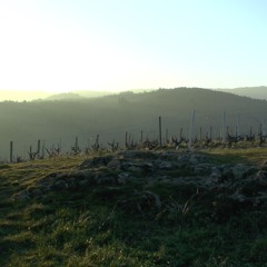 Les Buveurs de Temps / Episode 1 : Les Sous-Sols