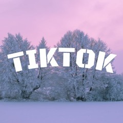 I Like Em Chocolate Coco Puffs ( LSD Tisakorean ) Tik Tok Remix