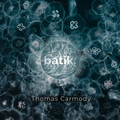 Thomas Carmody At Batik Music