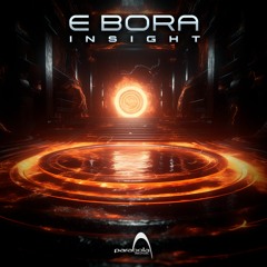e Bora - Insight (PAO1DW408 - Parabola Music)