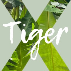 Tiger X. Episode 18. Wigglewop