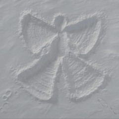 lofithug - snow