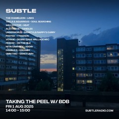 Taking The Peel w/ BDB (August : Intelligent DnB)