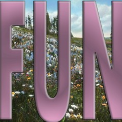 FUN (bonus)