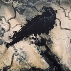 Crows [prod. Doza] - @placidful