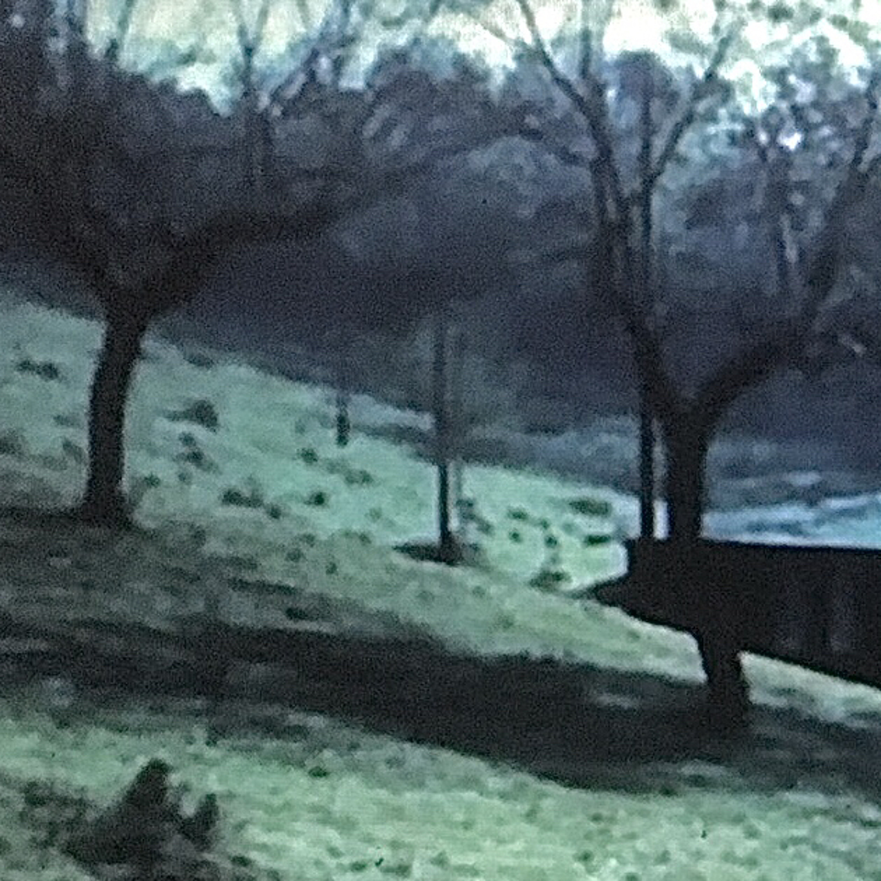 deer range episode artwork