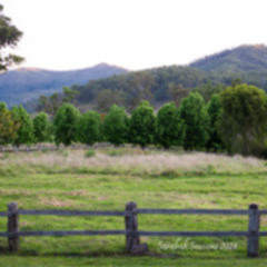 Impression, Water-Lilies (Demo) - Jon Trotta