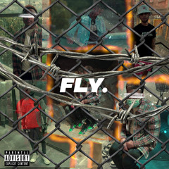 AmiridaWizard- “Fly” ft.1080 Cam & 10k Kam