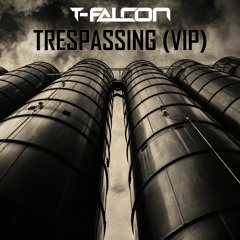 Trespassing (VIP) [Radio Edit]