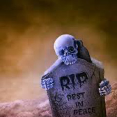 Yourshot contestant NSW