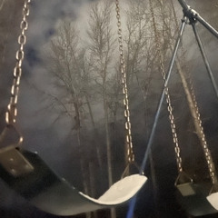 Winter Rain