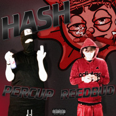 HASH ft. reedbud