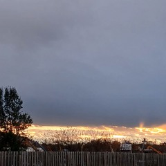 Yung Moob - Buffalo Salad.mp3