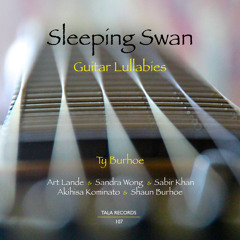 Parallel Souls (feat. Sandra Wong & Sabir Khan)