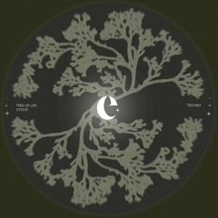 Tree Of Life - Live Set - July 25th